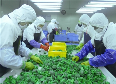 中央廚房都需要哪些設備